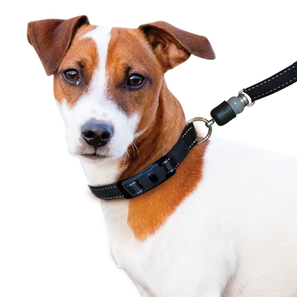 best dog leash for arthritic hands